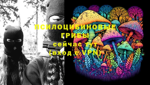 не бодяженный Алексин