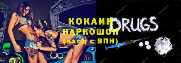 гидра Аркадак