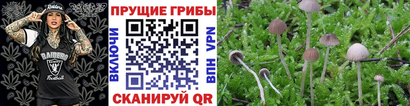 магазин продажи   Троицк  Псилоцибиновые грибы мухоморы 